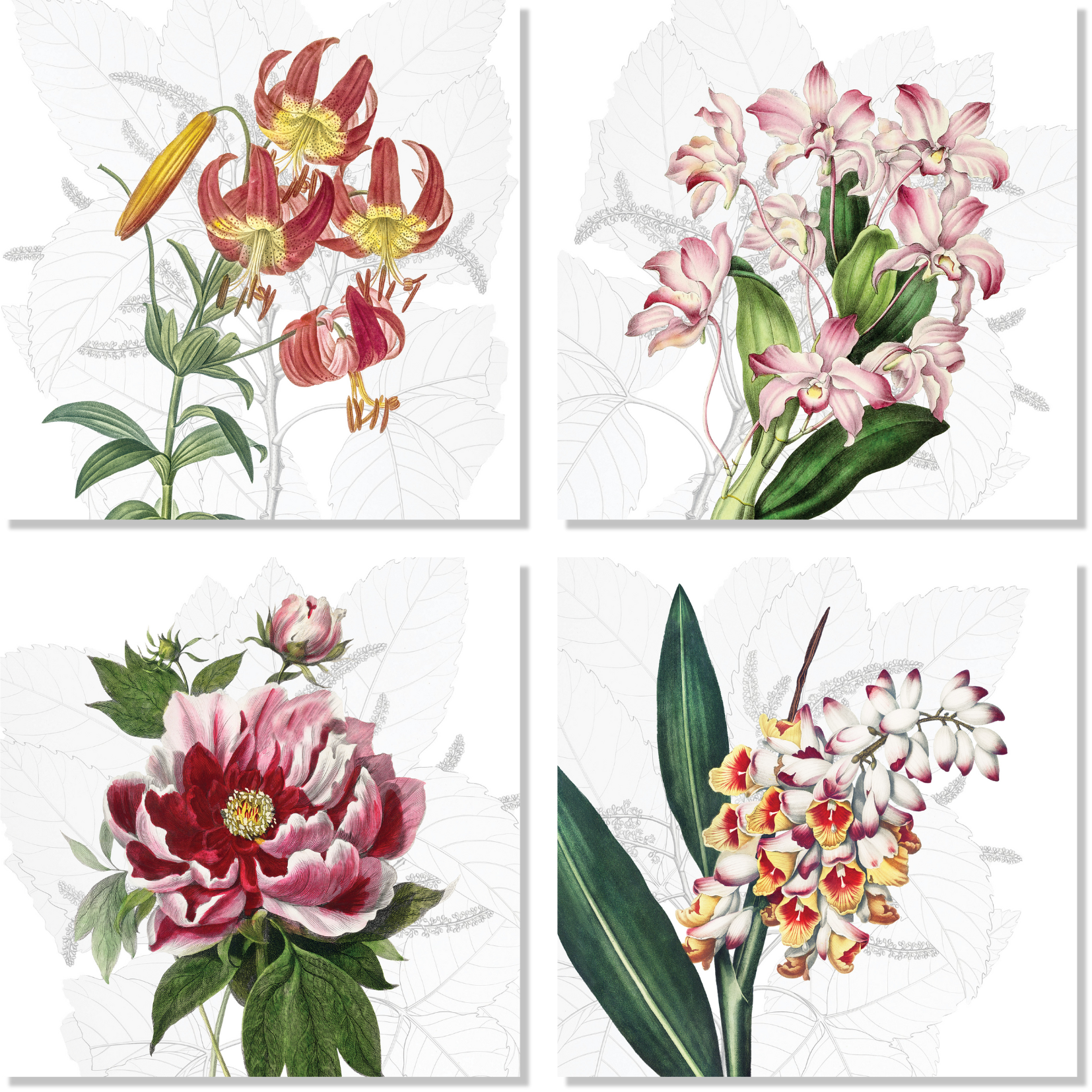 Set Of 4 Napkins Dafne 100% Made in Italy - The Napking